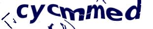 Captcha challenge image